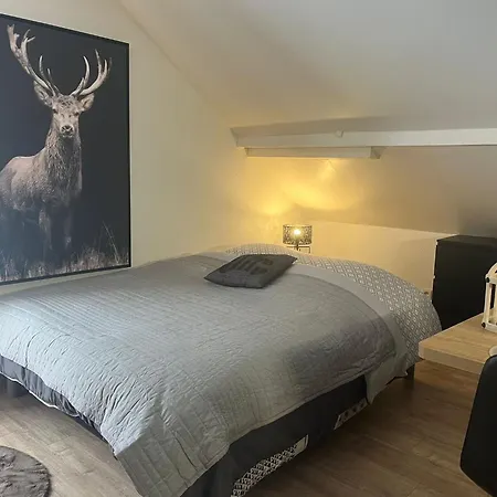 Cosy Appartement Gérardmer