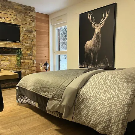 Cosy Appartement