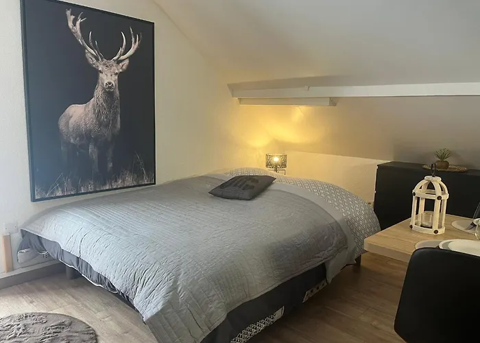 Des Pistes Appartement Gérardmer